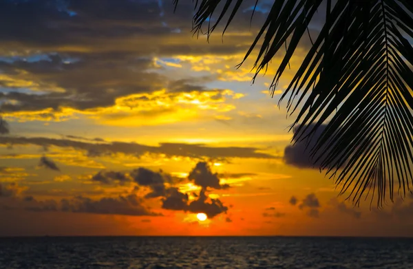 Maldiviska sunset — Stockfoto