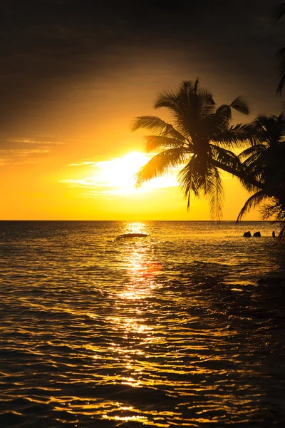 Tramonto maldiviano — Foto Stock