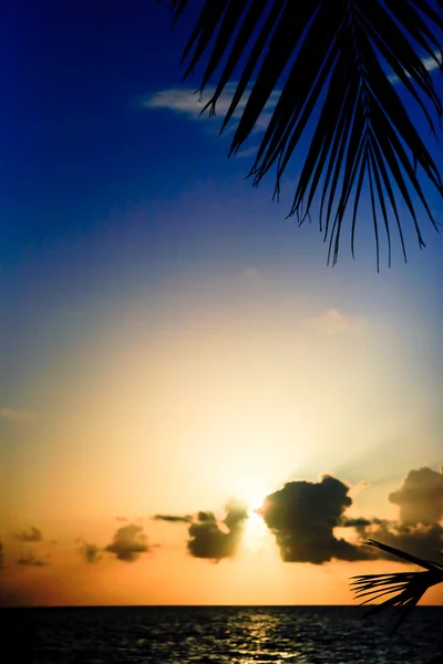 Pôr do sol das Maldivas — Fotografia de Stock