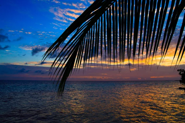 Maldív-szigeteki naplemente — Stock Fotó