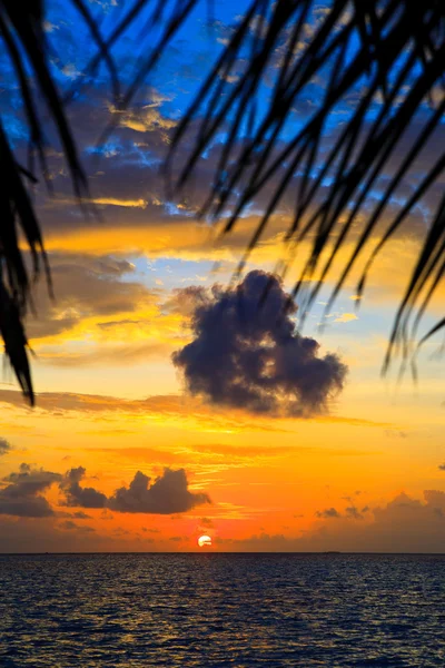 Maldivische zonsondergang — Stockfoto