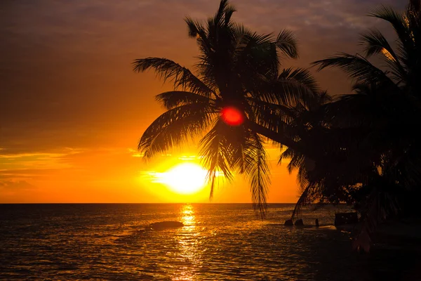 Malediven-Sonnenuntergang — Stockfoto