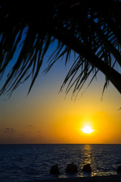 Maldivian Sunset — Stock Photo, Image