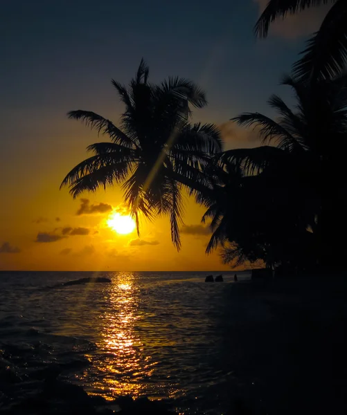 Maldivische zonsondergang Rechtenvrije Stockafbeeldingen