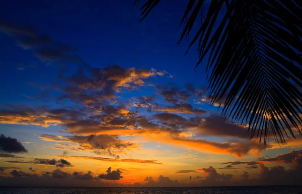 Maldivische zonsondergang Stockafbeelding