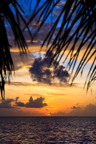 Maldív-szigeteki naplemente Stock Fotó