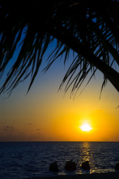 Maldivische zonsondergang Stockfoto
