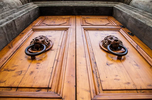 Batedor da porta da cabeça do leão — Fotografia de Stock