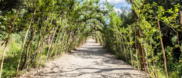 Boboli-tuinen — Stockfoto