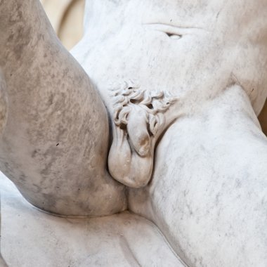 Gövde detaylar - penis