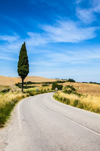 Vej i Toscana - Stock-foto