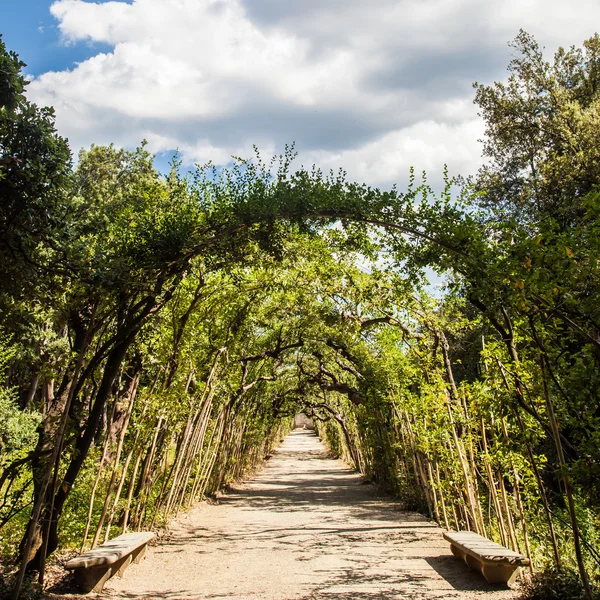 Jardins de Boboli — Fotografia de Stock