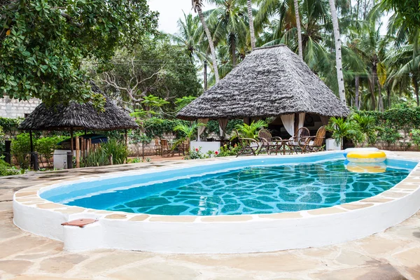 Piscine dans Jardin Africain — Photo