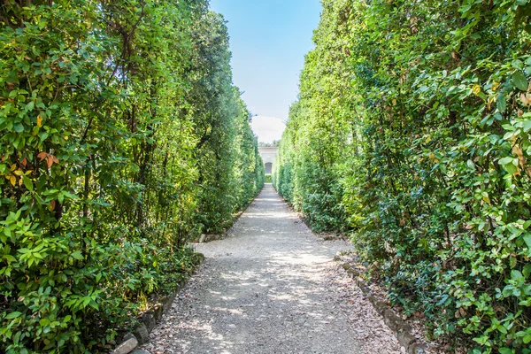 Boboli Gardens — Stock Photo, Image