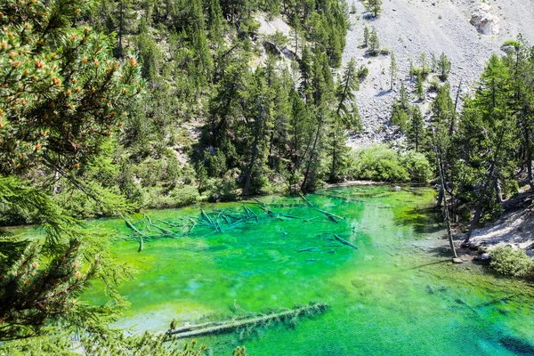Green Lake — Stock Photo, Image
