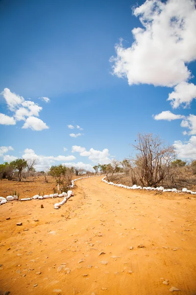 Savana road — Stockfoto