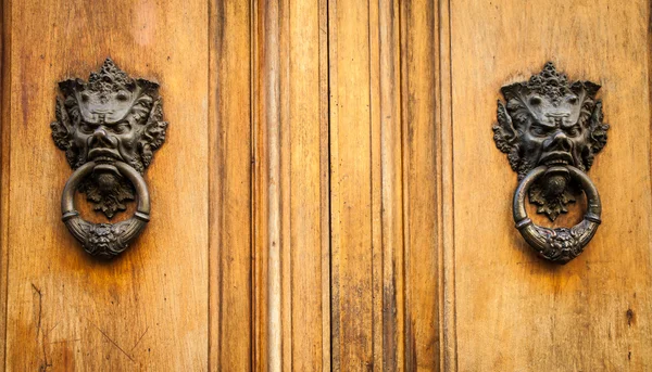 悪魔の頭のドアのノッカー — ストック写真