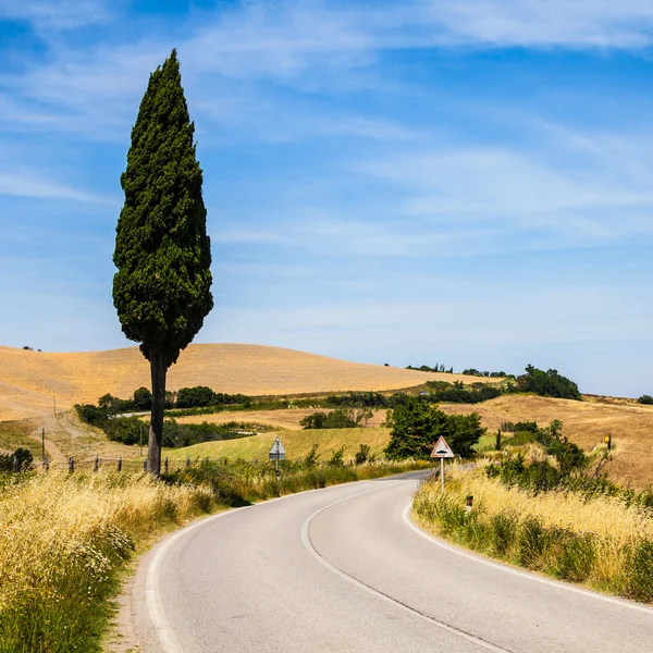 Strada in Toscana — Foto Stock