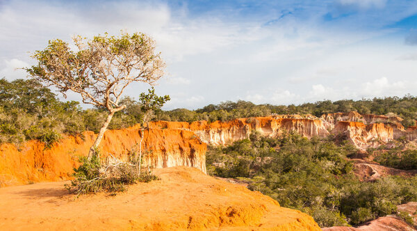 Marafa Canyon - Kenya