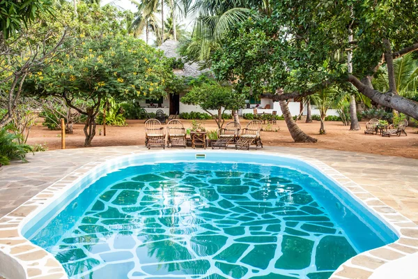 Piscina en Jardín Africano — Foto de Stock