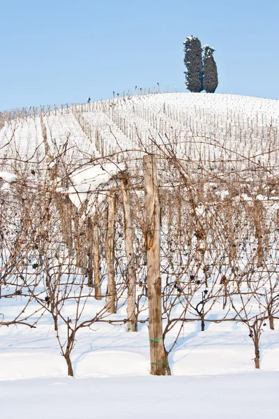 Toszkána: szőlőhegy télen — Stock Fotó