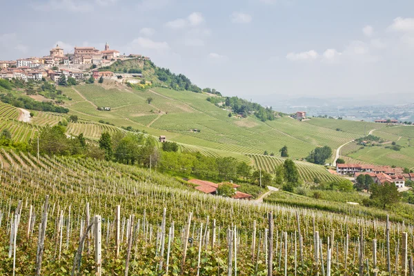 Toscane wijngaard — Stockfoto