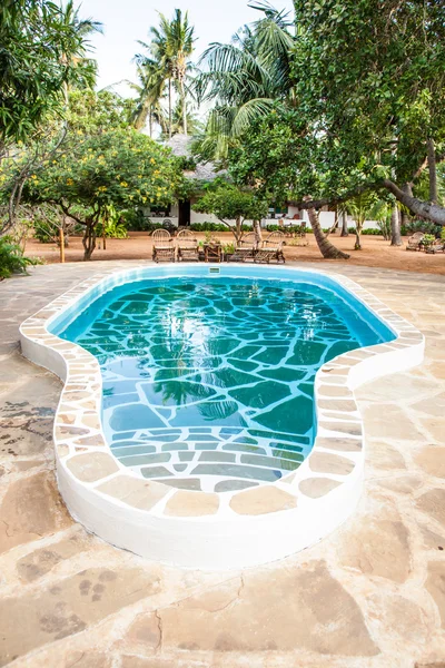 Piscina en Jardín Africano —  Fotos de Stock