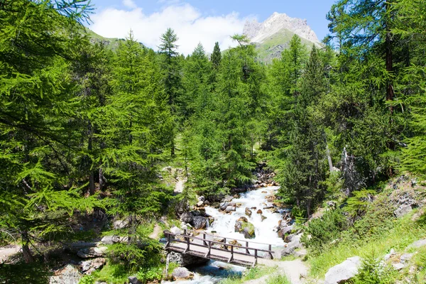 Puente sobre el río de montaña —  Fotos de Stock