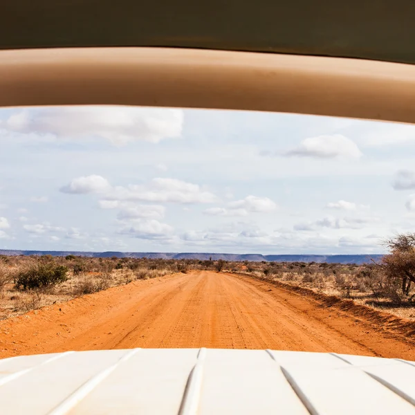 Safari in Kenya — Stock Photo, Image