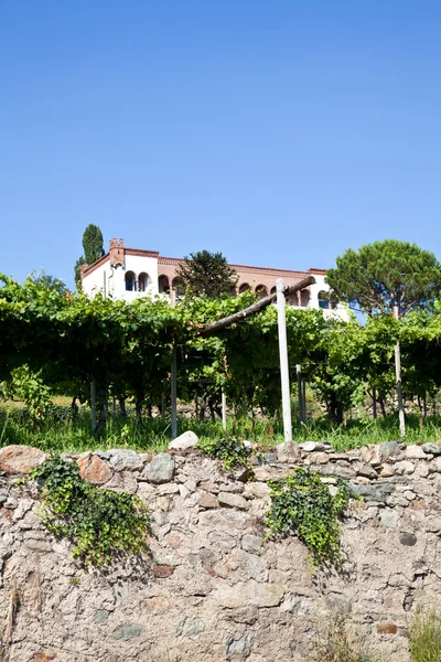Italienska charmiga villa vingård — Stockfoto
