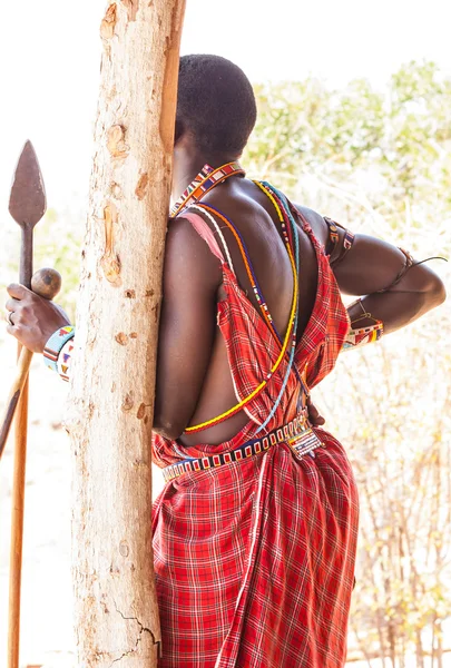 Masai-Stammeskostüm — Stockfoto