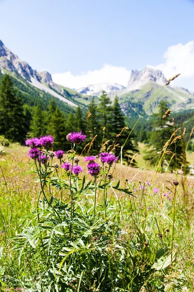 Alpes italianos — Fotografia de Stock