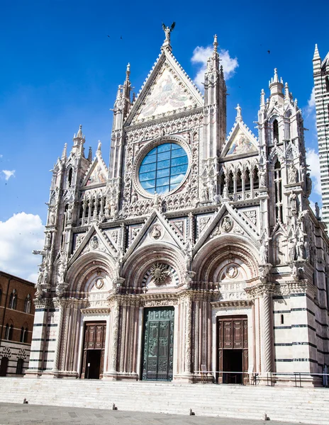 Katedra Duomo di siena — Zdjęcie stockowe