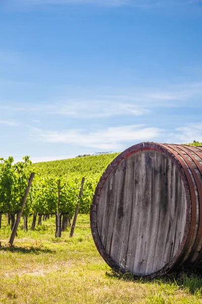 Tuscany-szőlőhegy — Stock Fotó