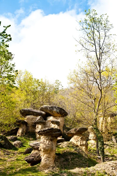 Imaginative forest landscape — Stock Photo, Image