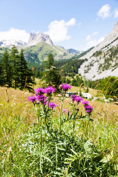 Alpes italiennes — Photo