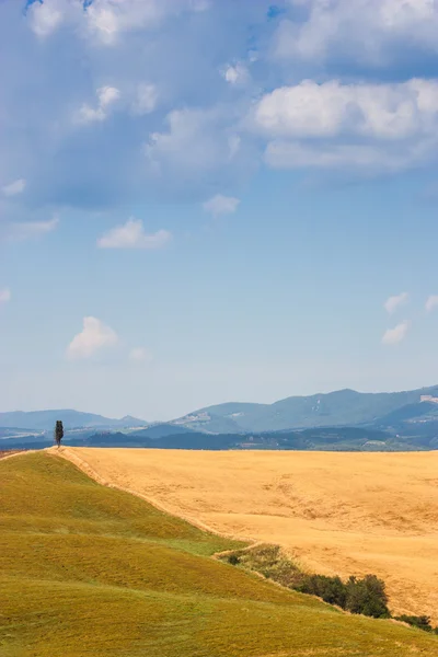 Paese in Toscana — Foto Stock