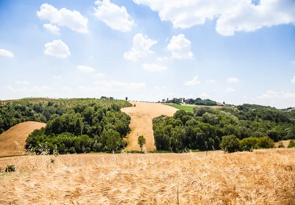 Land in Toscane — Stok fotoğraf