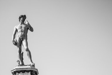 Michelangelo'nun David