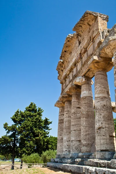 Paestum templo - Italia —  Fotos de Stock