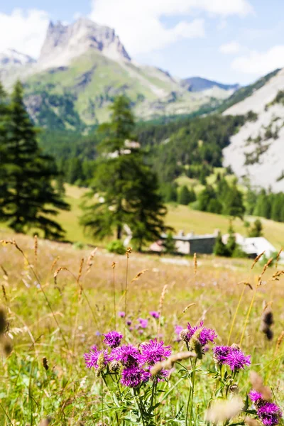 Italské Alpy — Stock fotografie