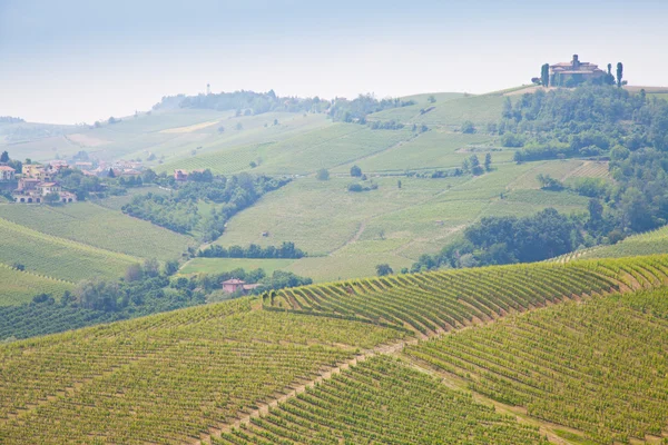 Toscane wijngaard — Stockfoto