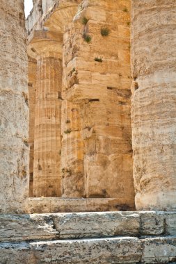 Paestum Tapınağı - İtalya