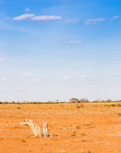 Abenteuer in Kenia — Stockfoto