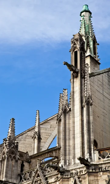 Catedral de Notre Dame - París —  Fotos de Stock