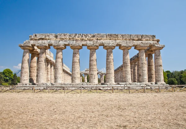 Paestum temple - Италия — стоковое фото