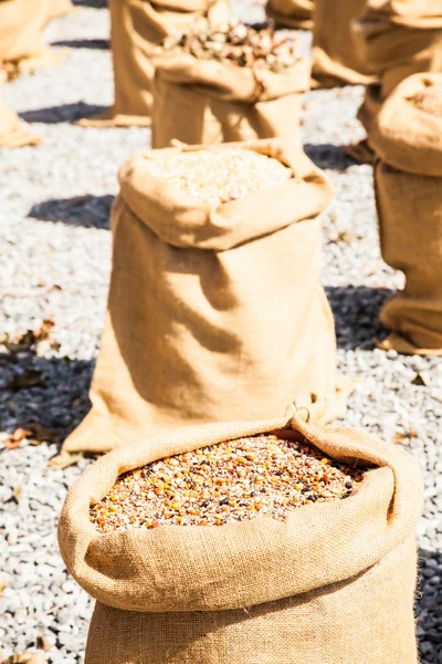 Trigo de verão maduro — Fotografia de Stock