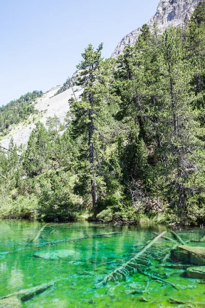 Green Lake — Stock Photo, Image