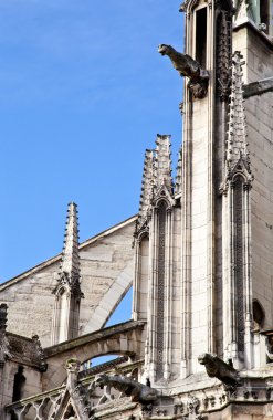 Notre dame Katedrali - paris
