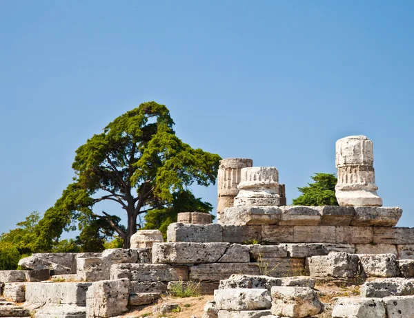 Temple Paestum - Italie — Photo